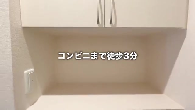 一人暮らしの賃貸アパート内見の玄関（室内・外観の様子）