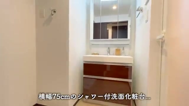 一人暮らし&同棲の洗面所（室内・外観の様子）