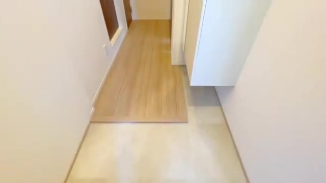 賃貸アパートお部屋内見の玄関(室内・外観の様子)
