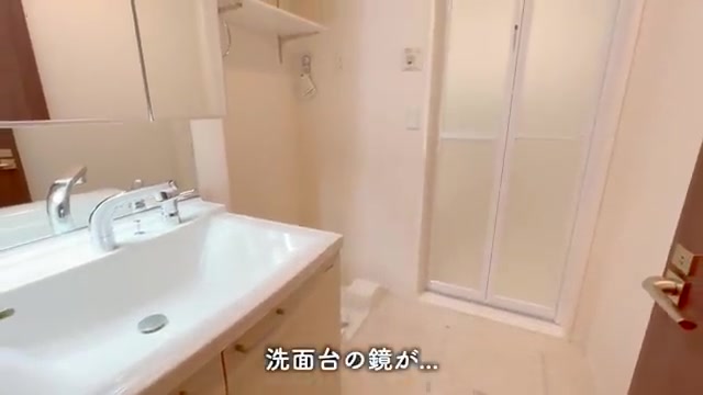 賃貸アパートお部屋内見の洗面所(室内・外観の様子)