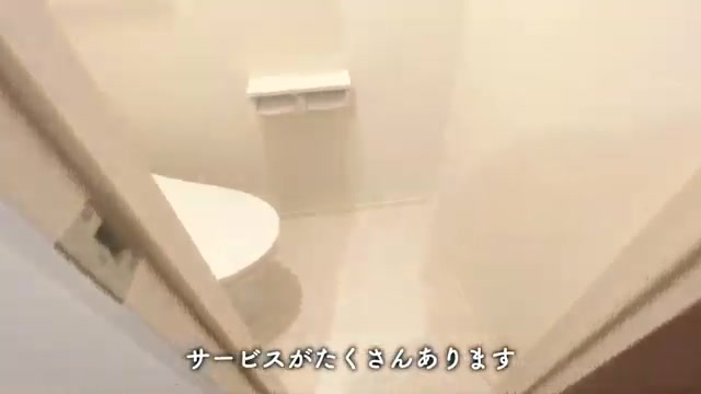 賃貸アパート同棲間取りのトイレ（室内・外観の様子）