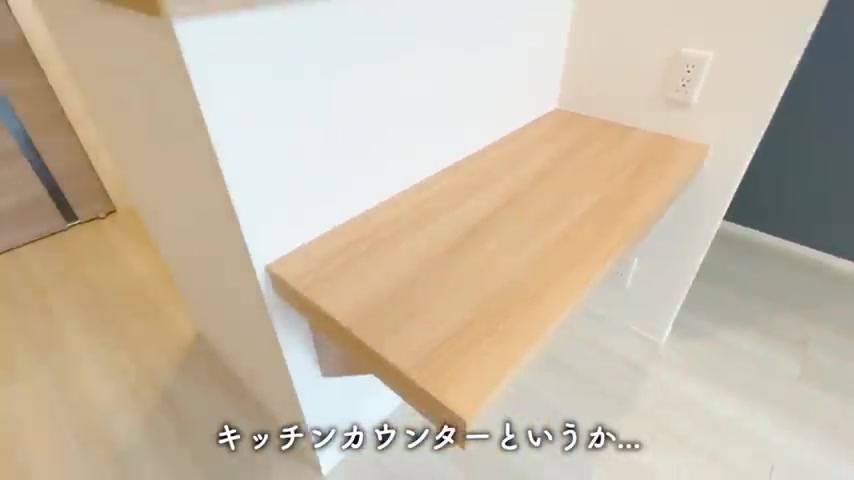 賃貸アパート内見のリビングダイニング（室内・外観の様子）