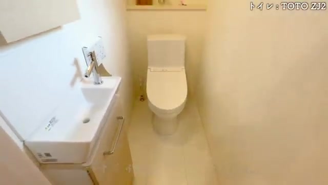 白で統一×巨大カップボード×カントリーテイストな家のトイレ（室内・外観の様子）