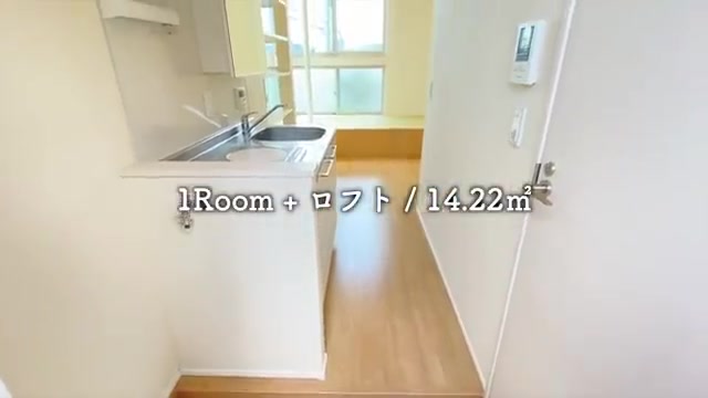 一人暮らしの賃貸アパートの玄関（室内・外観の様子）