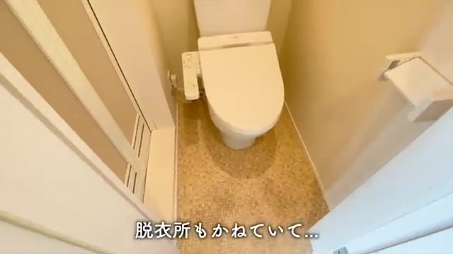 一人暮らしの賃貸アパートのトイレ（室内・外観の様子）