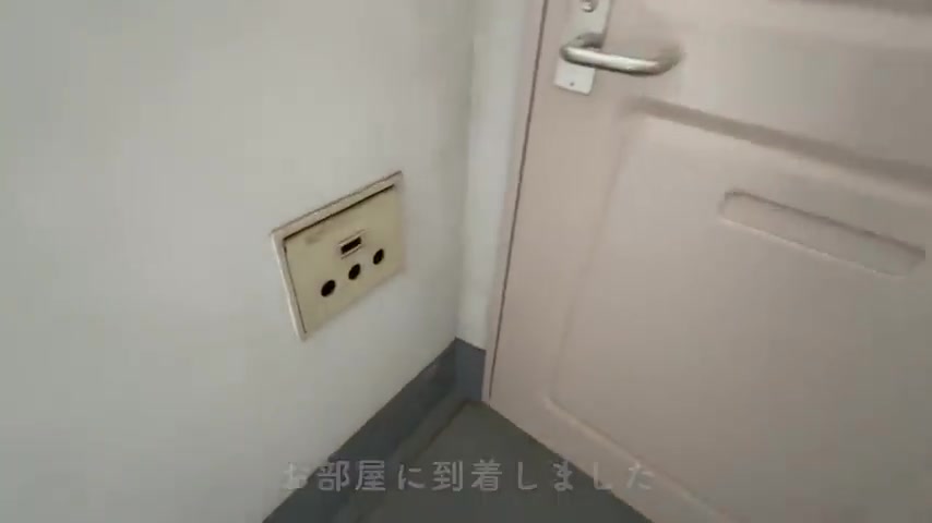 団地で一人暮らしの玄関(室内・外観の様子)