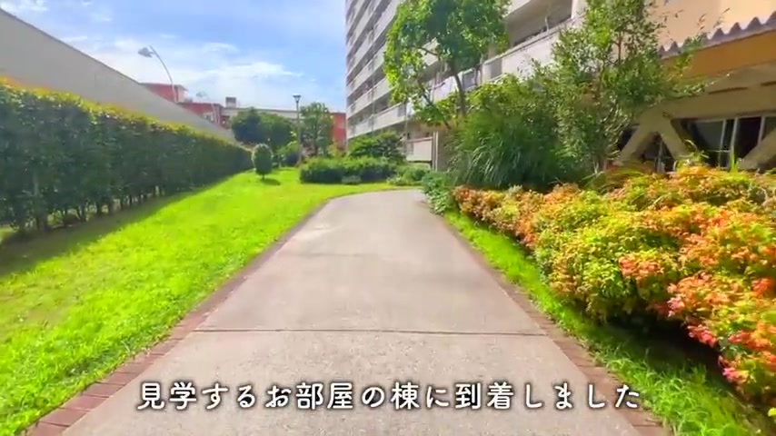 高島平団地の建物共用部(室内・外観の様子)