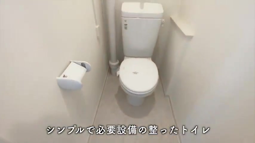 高島平団地のトイレ(室内・外観の様子)
