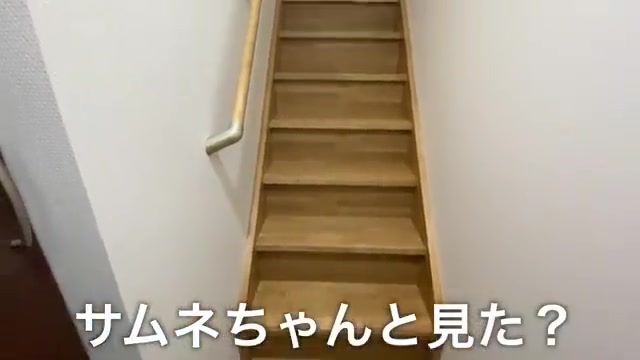 自然に完全勝利する設備のオープニング（室内・外観の様子）