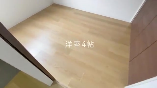 洗髪洗面化粧台で髪を洗う人ほぼいない説の寝室(室内・外観の様子)