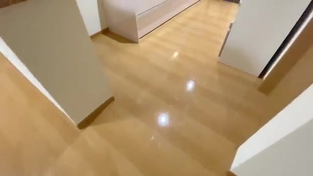リノベーション賃貸物件のキッチン(室内・外観の様子)
