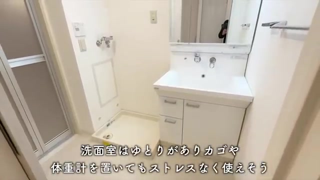 サンラフレ百合ヶ丘の洗面室（室内・外観の様子）