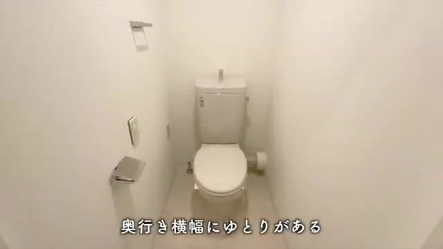 サンラフレ百合ヶ丘のトイレ（室内・外観の様子）