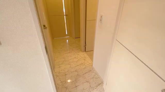 賃貸物件の内見動画の玄関(室内・外観の様子)