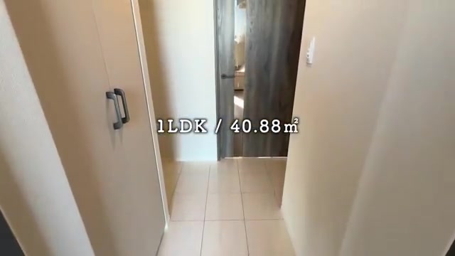 文京区の1LDKの玄関(室内・外観の様子)