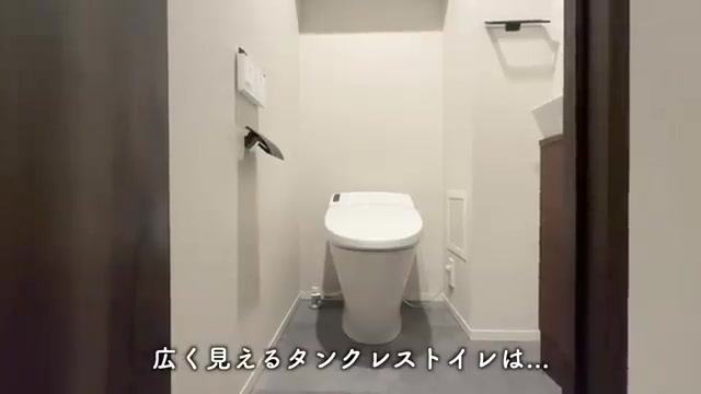 文京区の1LDKのトイレ(室内・外観の様子)