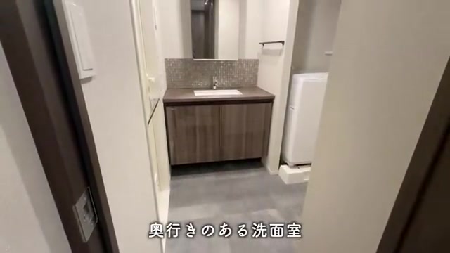 文京区の1LDKの洗面室(室内・外観の様子)