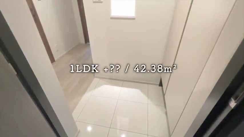 品川区の1LDKの玄関（室内・外観の様子）