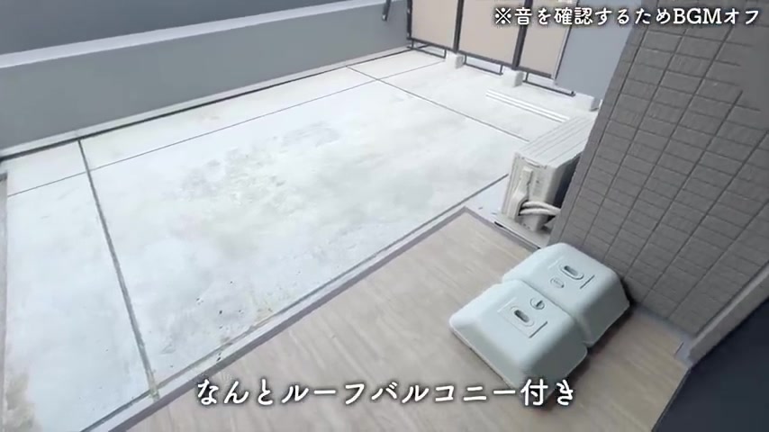 品川区の1LDKのルーフバルコニー（室内・外観の様子）