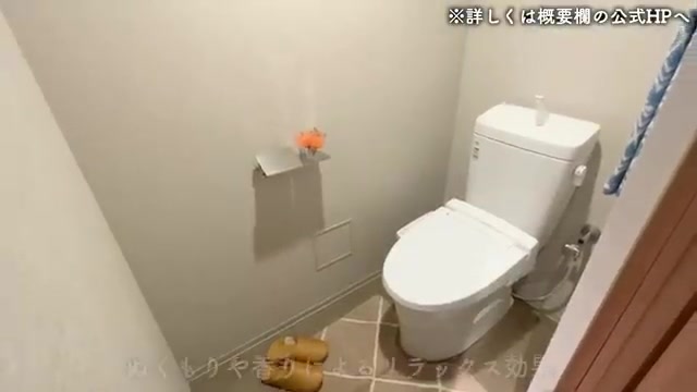 浦安市の2LDKのトイレ（室内・外観の様子）