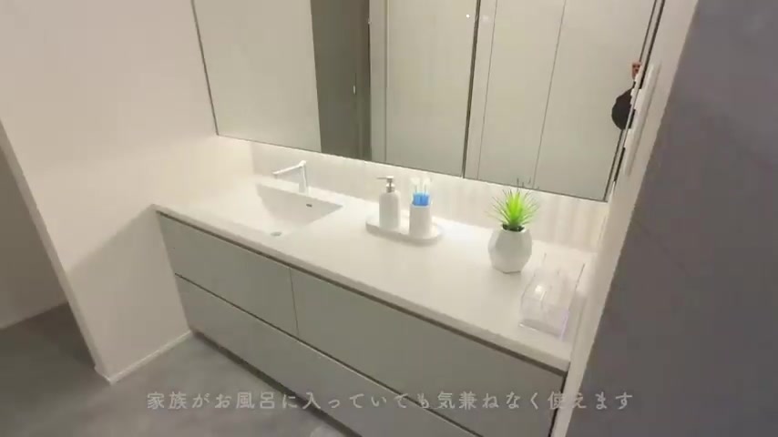 敷島住宅の脱衣室/家事室