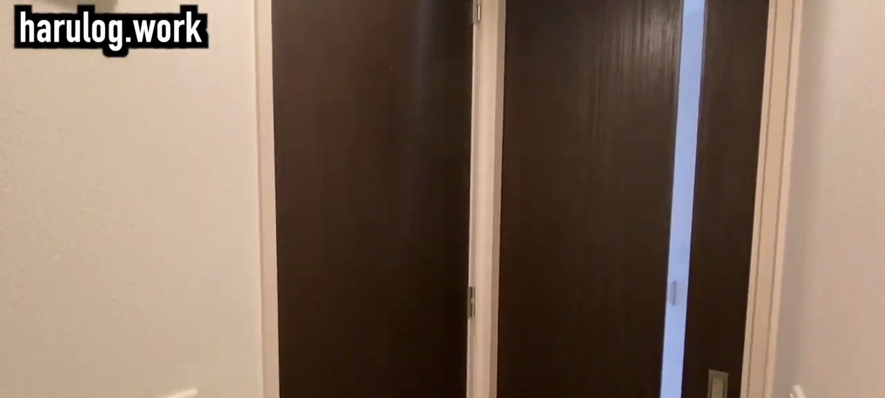 1LDKの賃貸物件内見動画の内見動画 1:50の場面