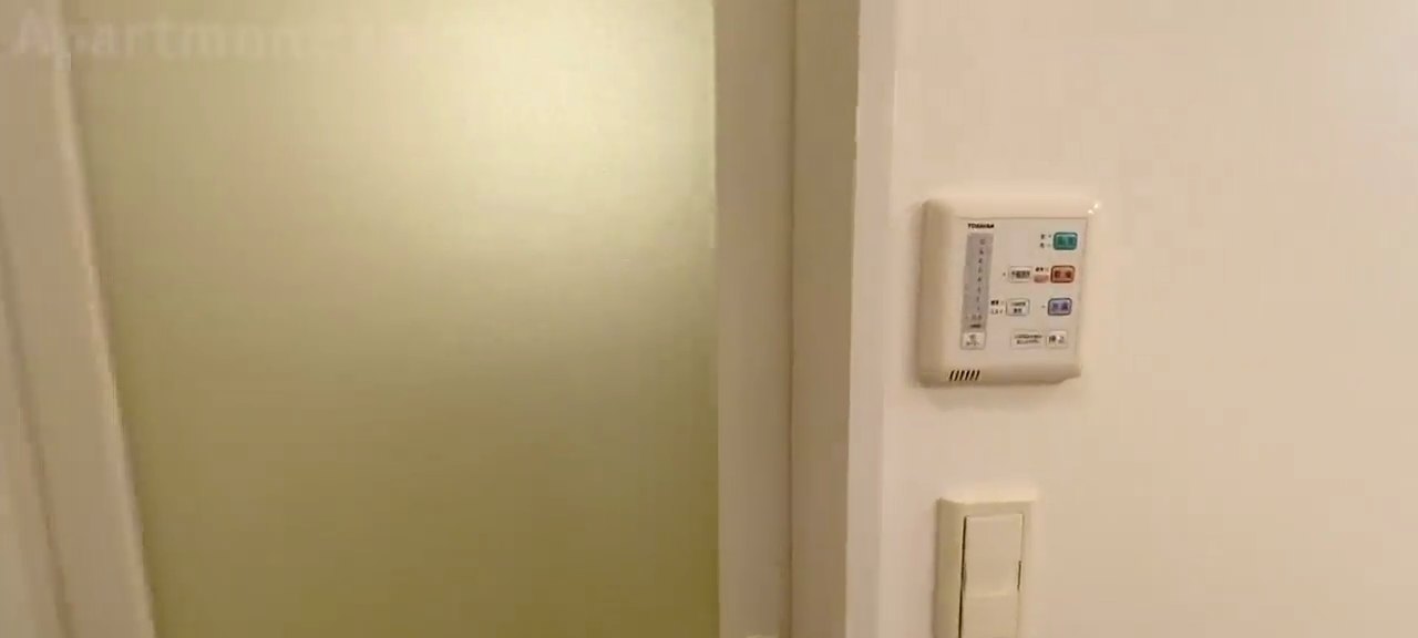 Tiny house in japan：apartmentの内見動画 3:18の場面
