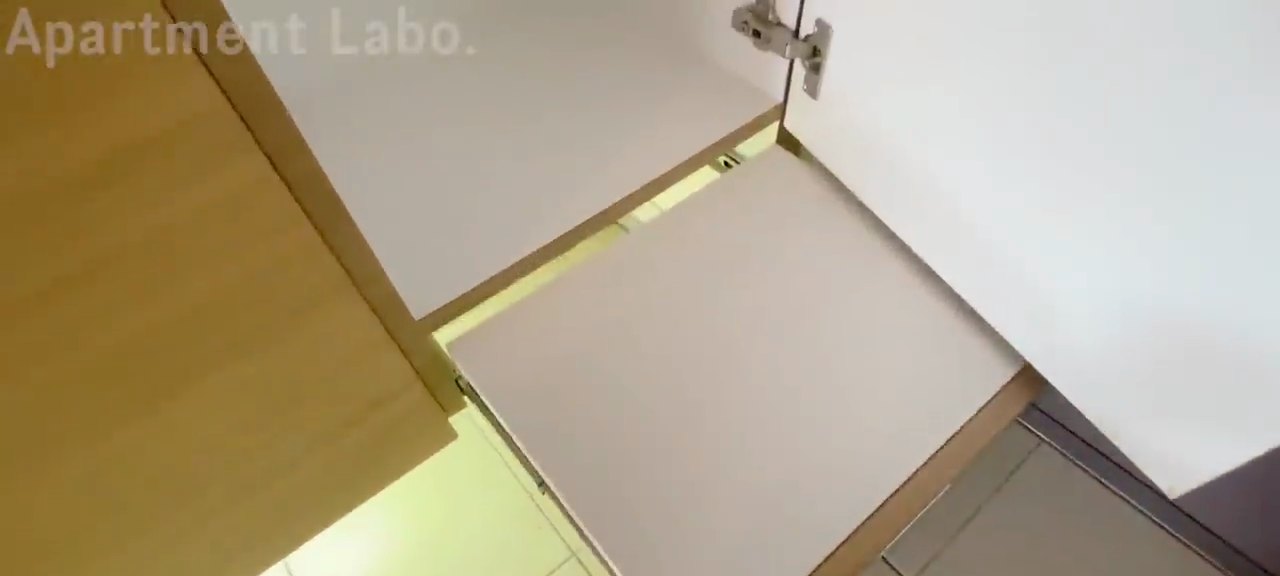 ペットと暮らせるの内見動画 9:42の場面