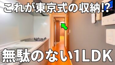 【東京都の賃貸マンション】デッドスペースを活かした充実の収納設計の賃貸マンション（江東区石島/1LDK/43.05㎡）