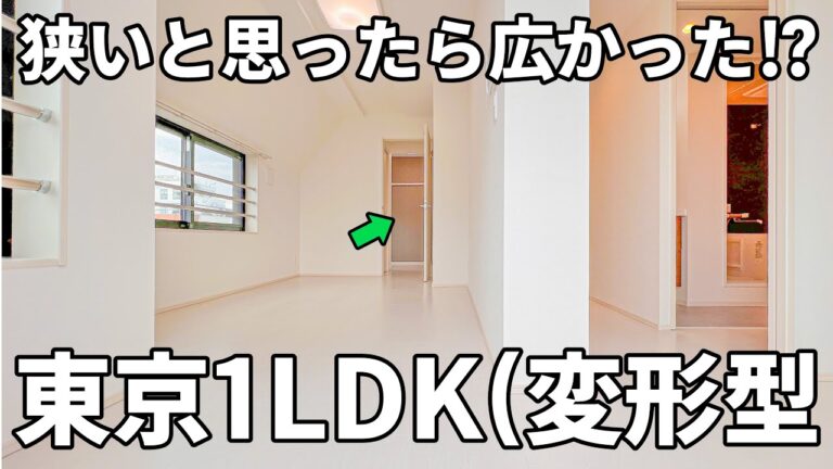 【賃貸マンション内見】窓が多く風抜けと採光に優れた個性的な間取りの賃貸マンション（江東区石島/1LDK/35.58㎡）