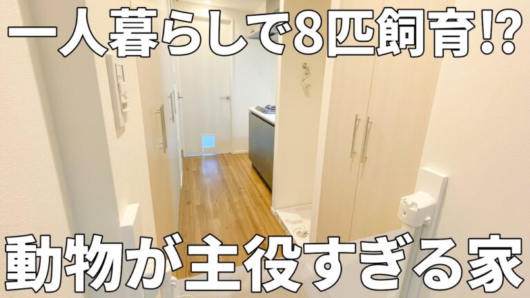 【イヌネコヒルズ】賃貸マンション（大田区/1K）