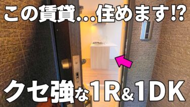 【賃貸マンション内見】玄関直結キッチン、アメリカンセパレート洗面の個性派間取りの賃貸マンション（葛飾区亀有/1DK/29.01㎡）
