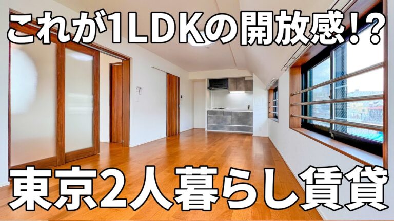 【賃貸マンション内見】三方向採光で開放感抜群の1LDKの賃貸マンション（江東区石島/1LDK/48.99㎡）