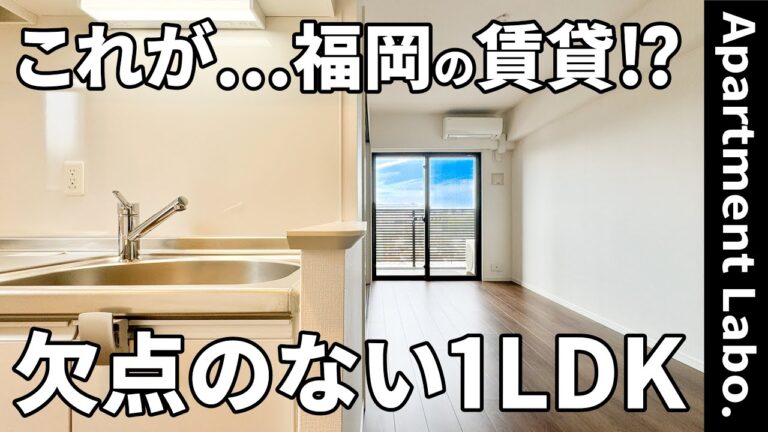 【福岡県の賃貸】ほぼ全ての空間に備わった充実の収納の賃貸（福岡市中央区/1LDK/34.93㎡）