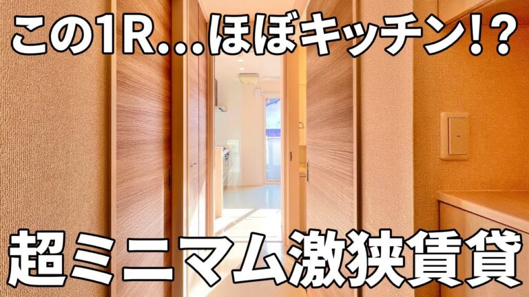 【一人暮らしの賃貸アパート内見】賃貸アパート（ワンルーム/20.25㎡）