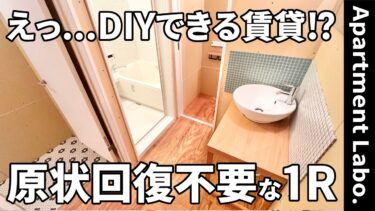 【板橋区熊野町・大山駅徒歩8分】猫とDIYを楽しめる高断熱ワンルーム30㎡・賃料8.1万円｜内見動画