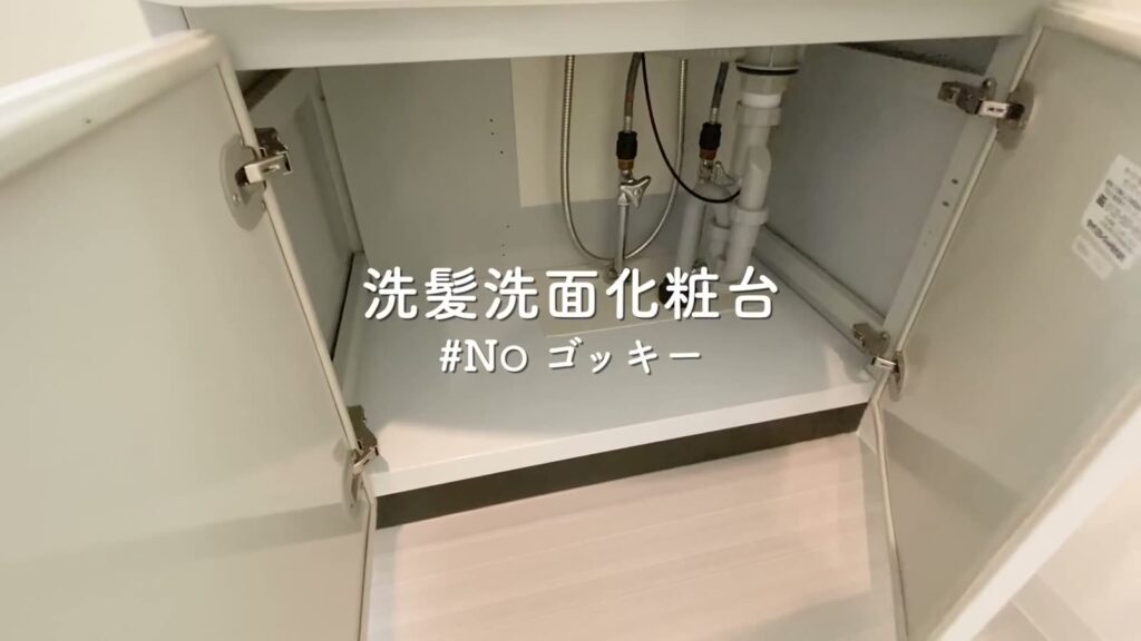広島市南区段原の1LDK 1LDKの洗面台の下