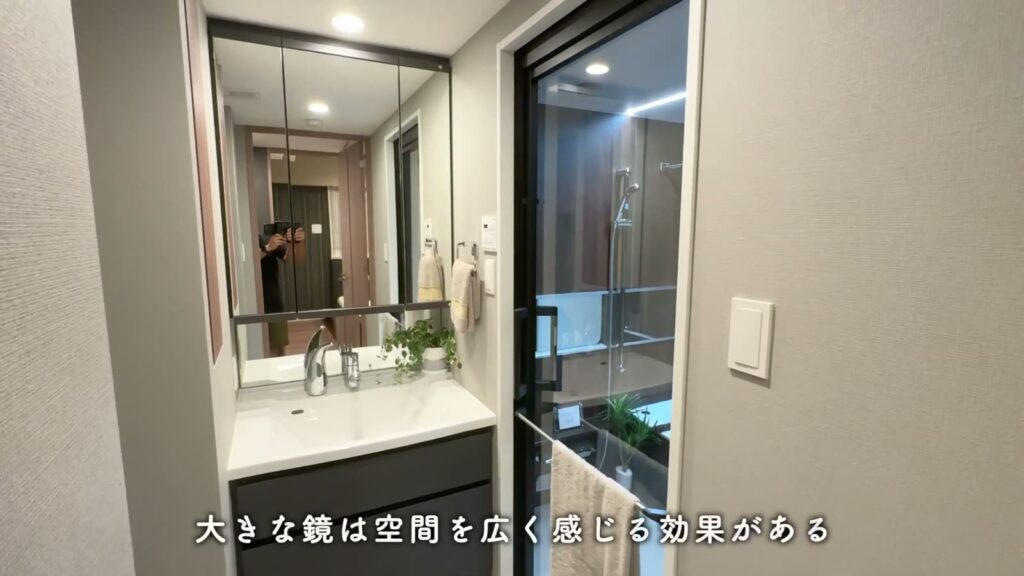 プレシス上福岡 2LDK+Sの洗面台
