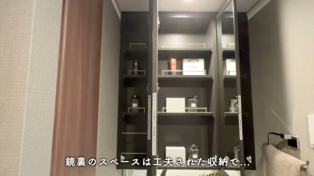 プレシス上福岡 2LDK+Sの鏡裏の収納