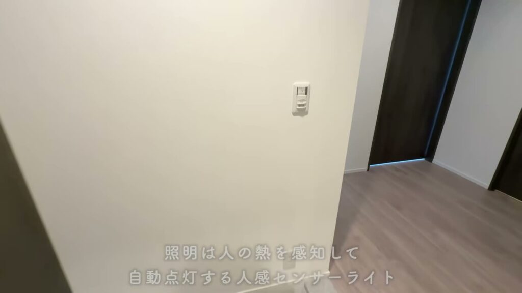 THE TOWER HIRAKATA 1LDKの玄関ホール