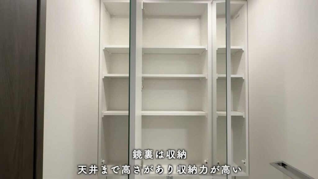 THE TOWER HIRAKATA 1LDKの鏡裏の収納