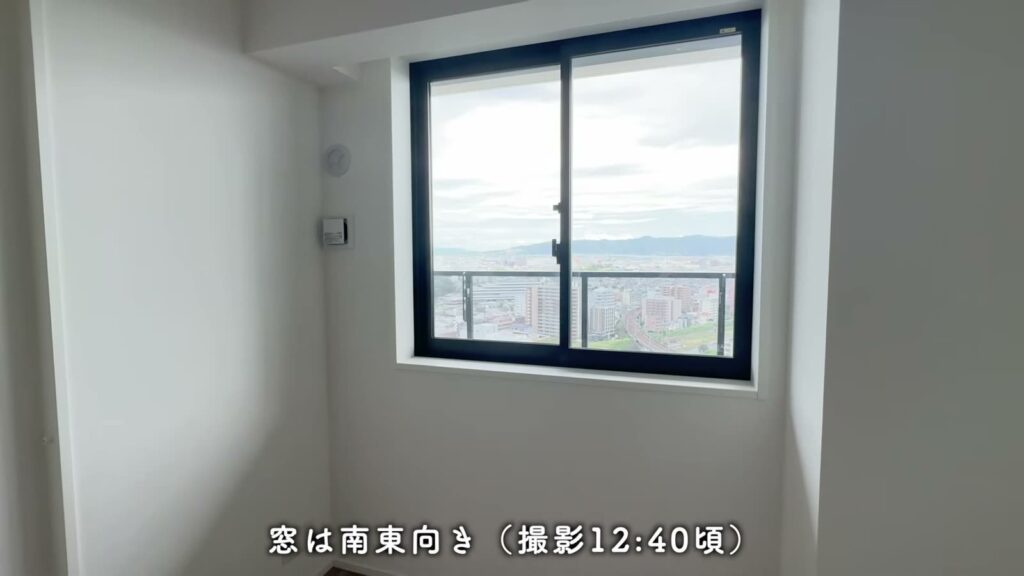 THE TOWER HIRAKATA 1LDKの南東向きの窓