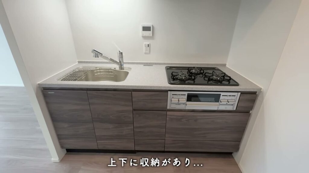 THE TOWER HIRAKATA 1LDKのシステムキッチン