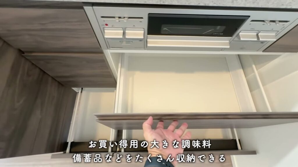 THE TOWER HIRAKATA 1LDKの引き出し収納