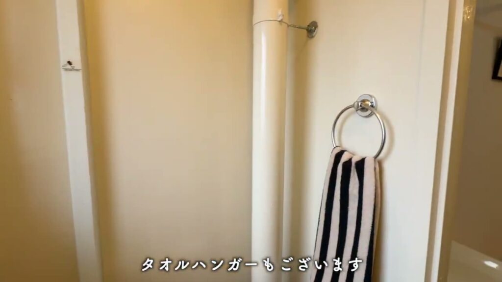 岩成台団地 1LDKのタオルハンガー