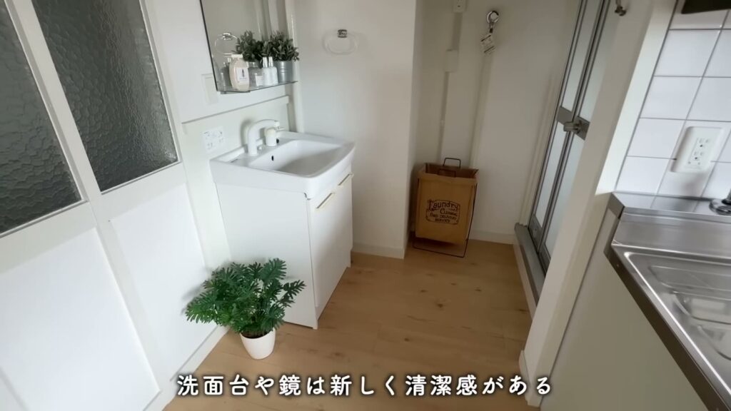 香里団地-香里E地区 2DKの洗面台