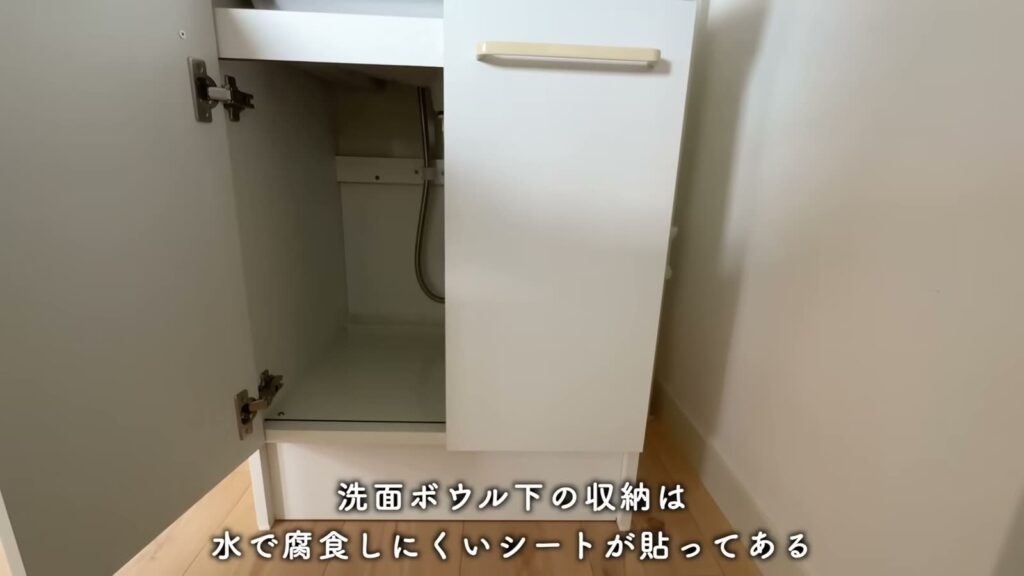 香里団地-香里E地区 2DKの洗面台下の収納