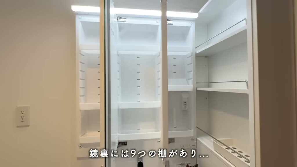 アクアタウン納屋橋 2LDKの鏡裏の収納
