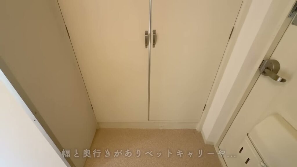 緑苑東 2LDKの玄関の収納