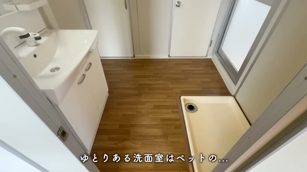 緑苑東 2LDKの洗面室